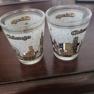 2 Shot Glasses